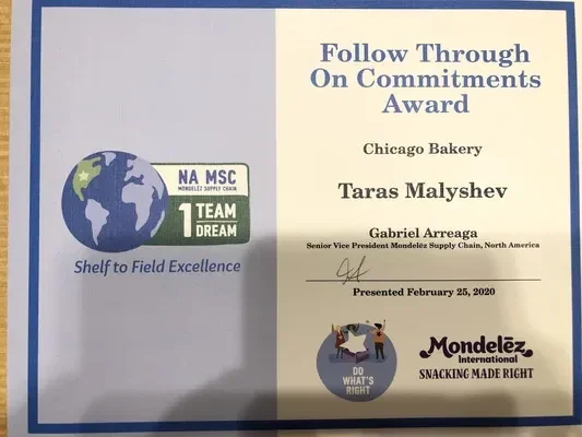 Taras Malyshev Consulting Experience